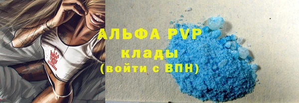 стафф Алзамай
